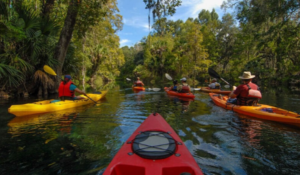 Canoe kayak rental florida