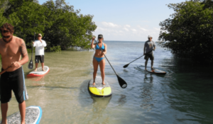 Paddleboard rental florida