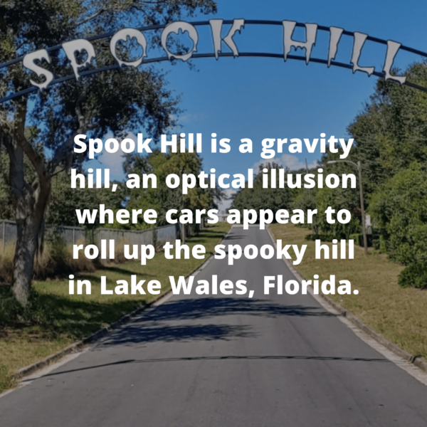 Florida Fun Facts Florida Adventure Map