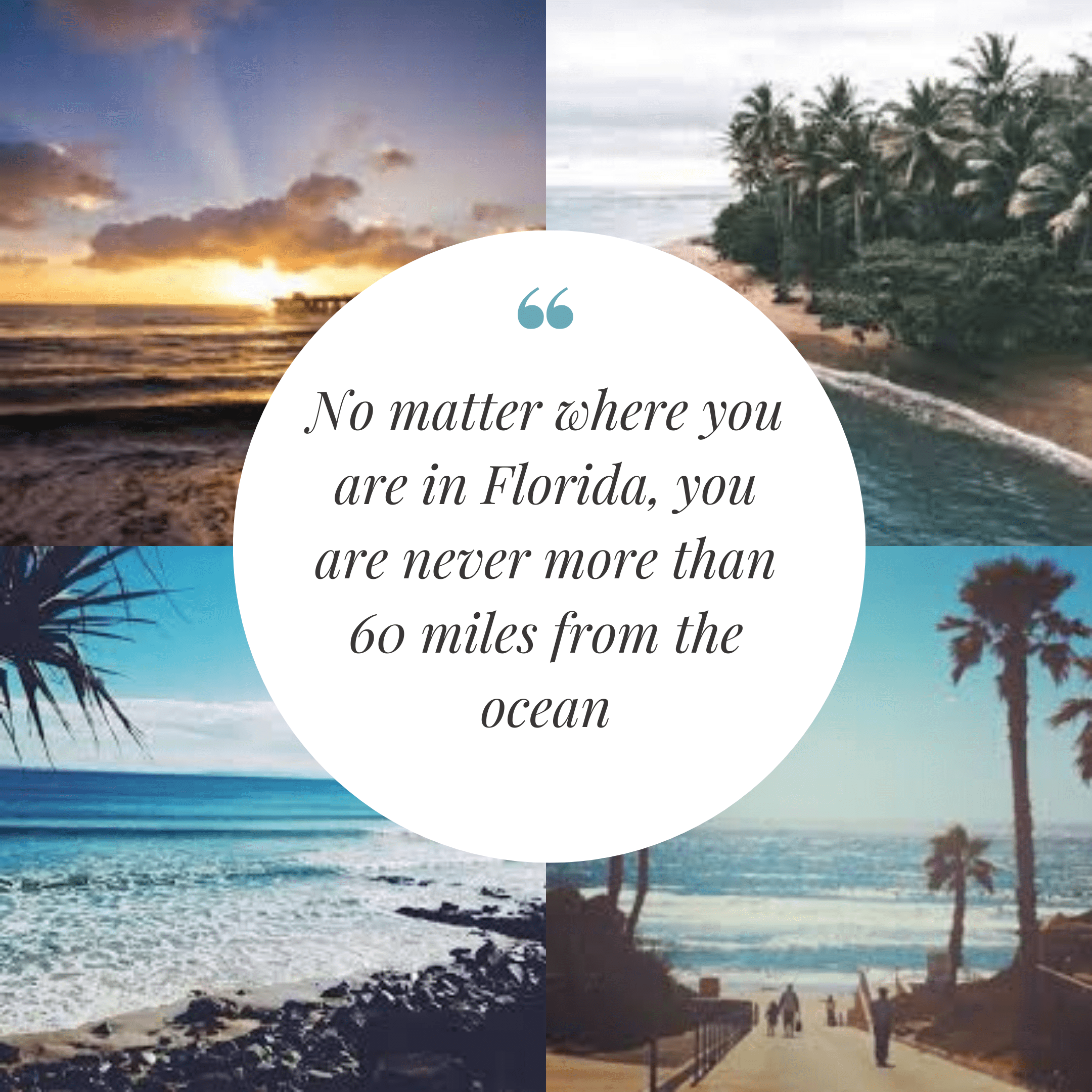 Florida Fun Facts Florida Adventure Map