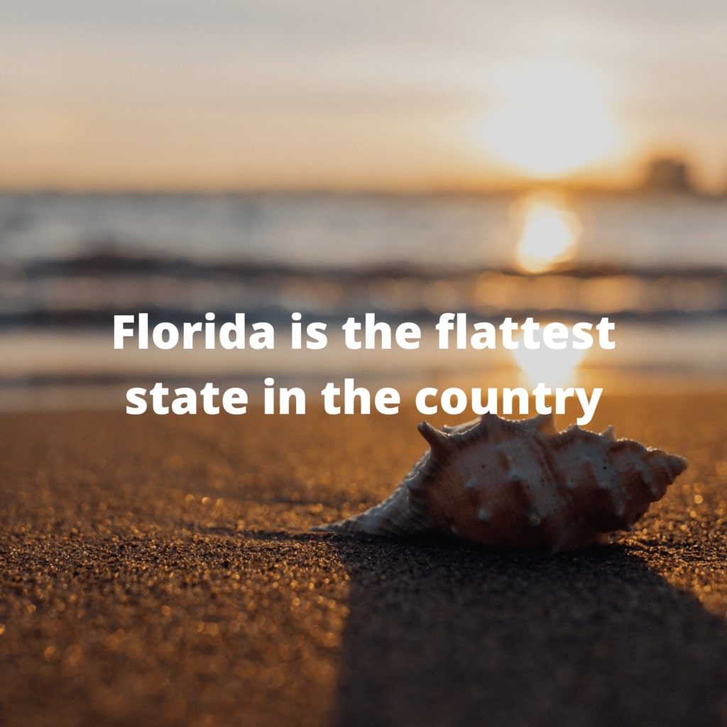 Florida Fun Fact